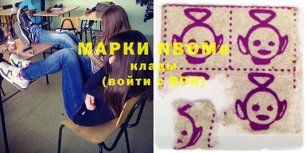 индика Верхний Тагил