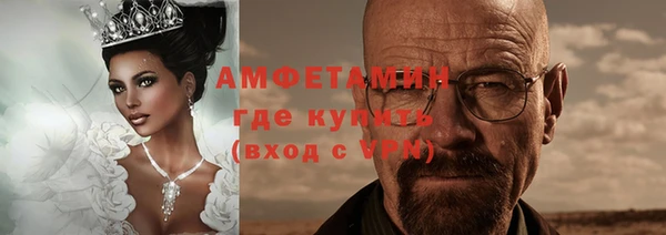 индика Верхний Тагил