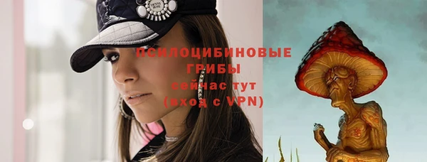 индика Верхний Тагил