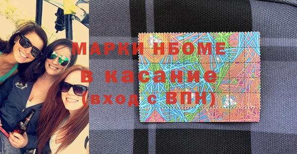 индика Верхний Тагил