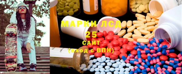 индика Верхний Тагил