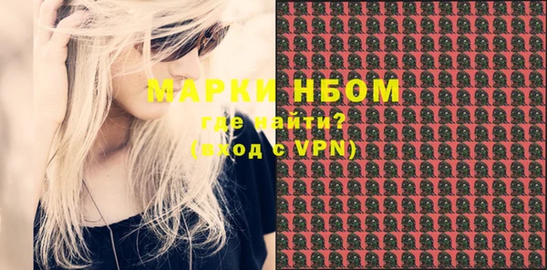 индика Верхний Тагил