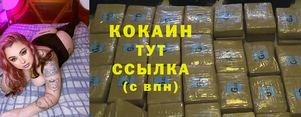 индика Верхний Тагил