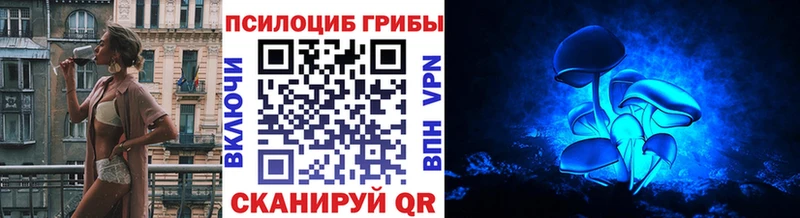 где купить наркоту  Орехово-Зуево  ОМГ ОМГ как войти  Галлюциногенные грибы ЛСД 